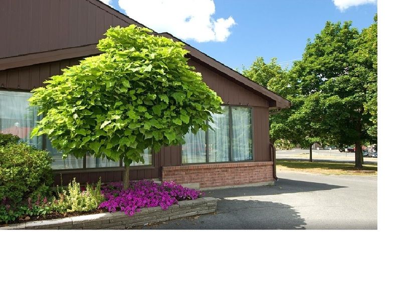 Motel Ramada By Wyndham Kingston Exterior foto