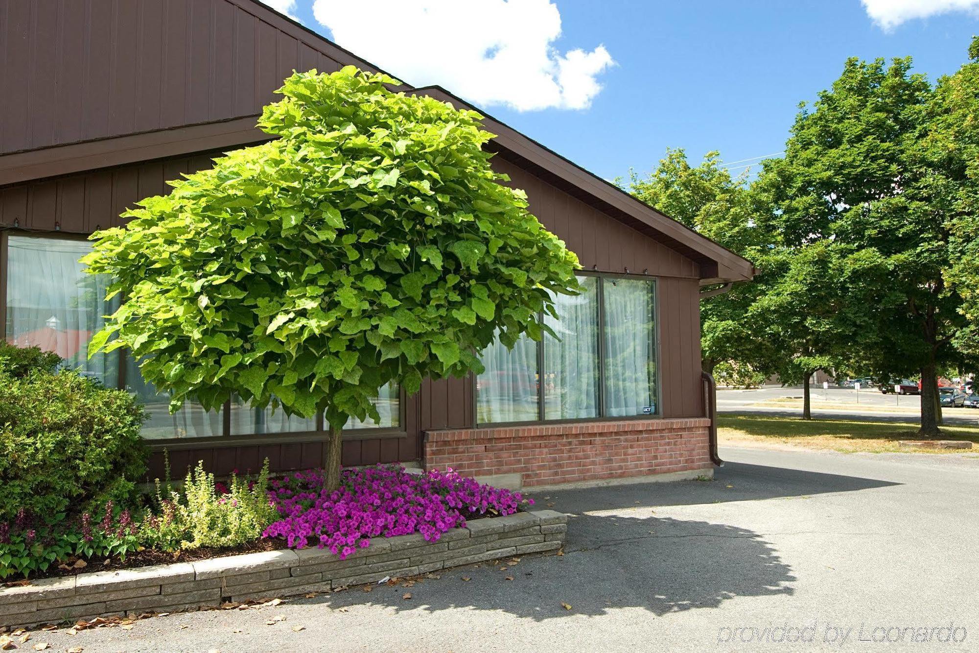 Motel Ramada By Wyndham Kingston Exterior foto